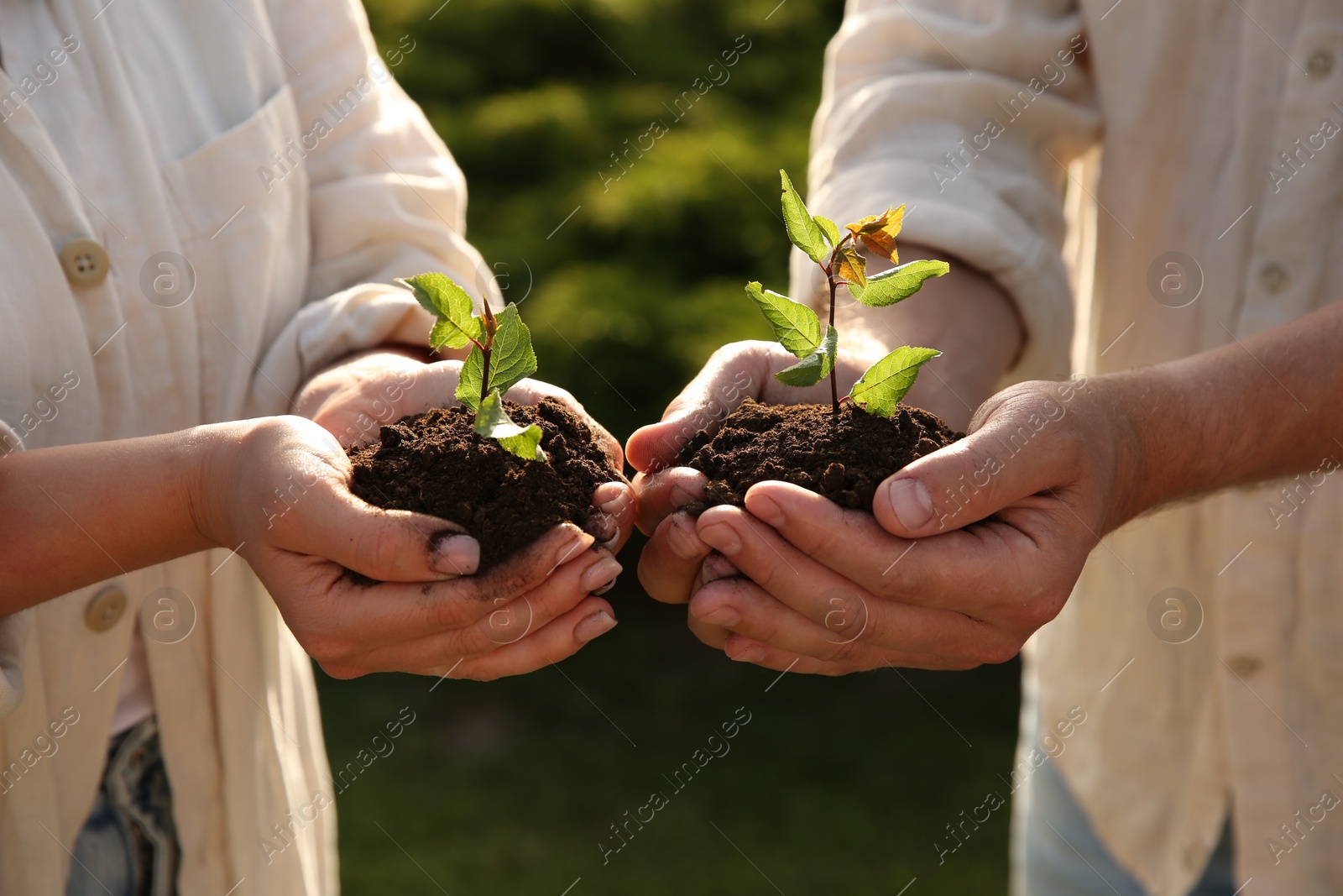 Photo of Couple holding seedlings with soil outdoors, closeup