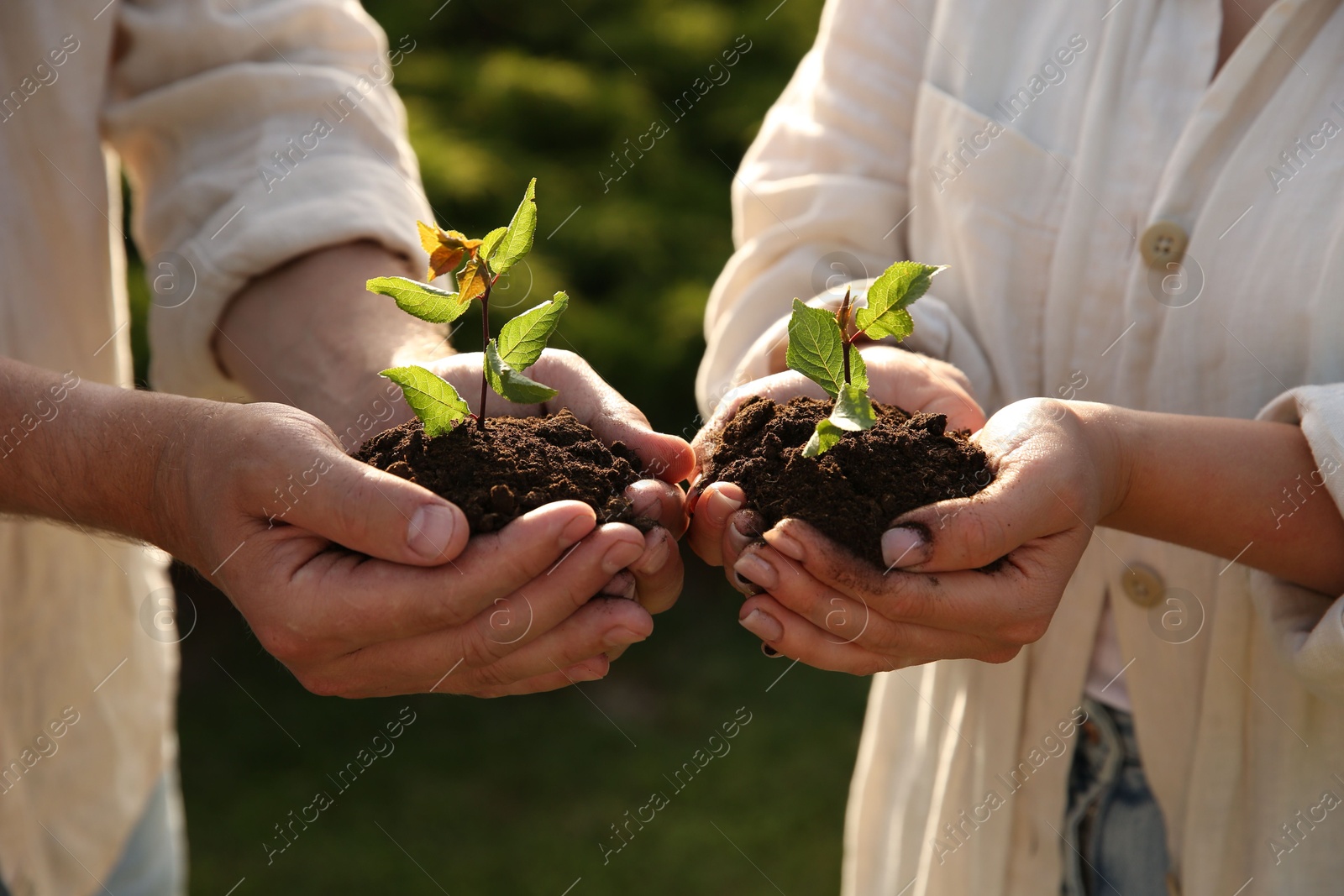 Photo of Couple holding seedlings with soil outdoors, closeup