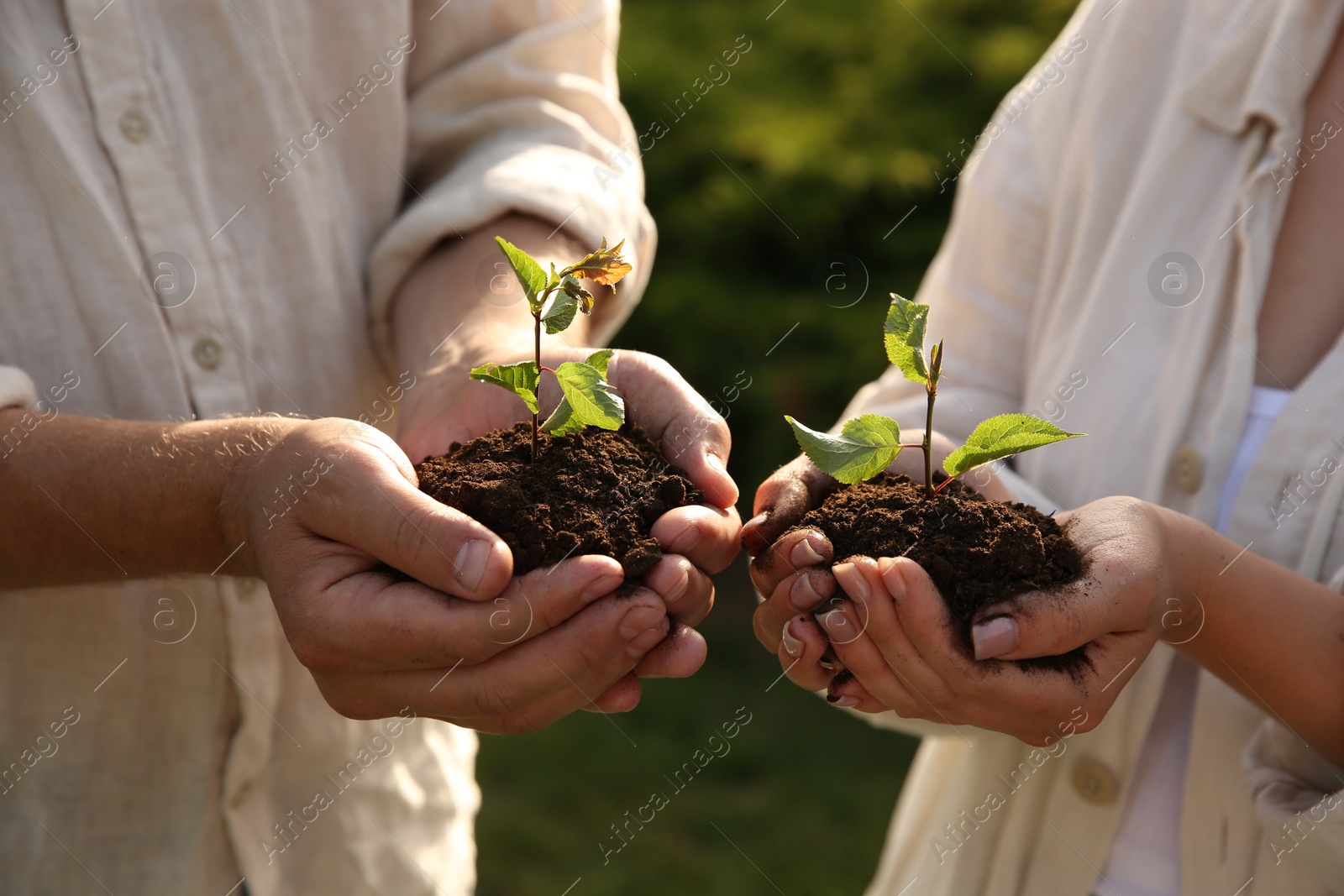 Photo of Couple holding seedlings with soil outdoors, closeup