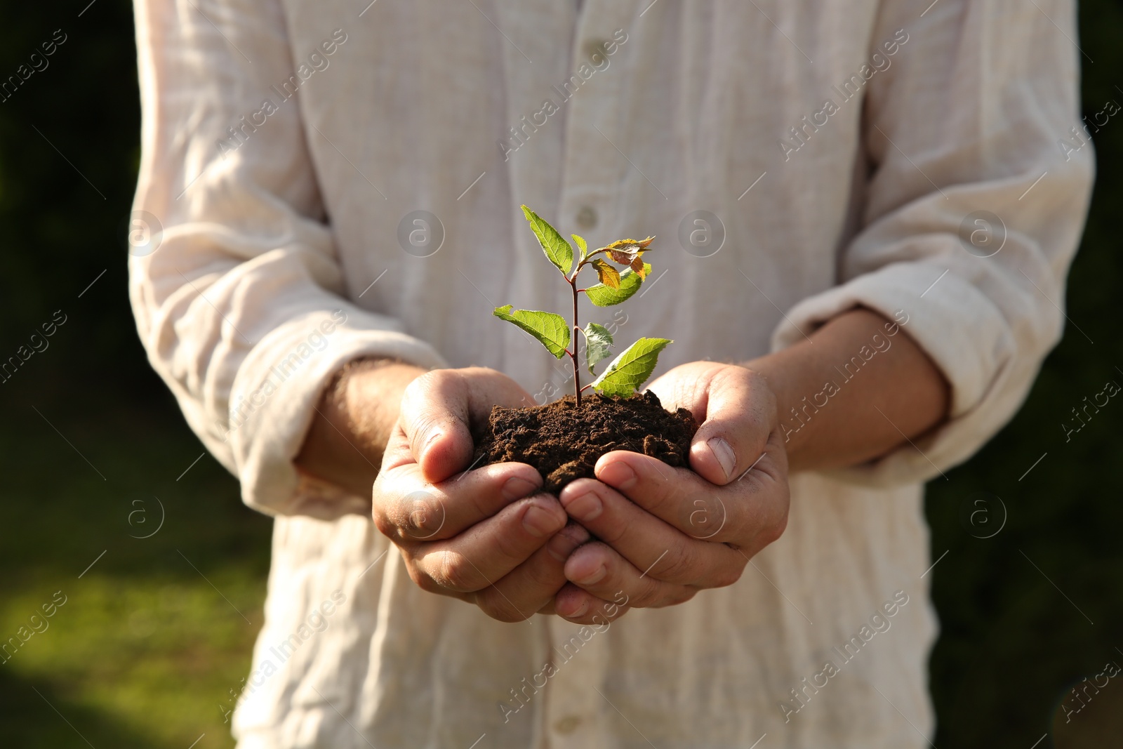 Photo of Man holding seedling with soil outdoors, closeup