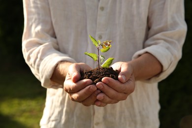 Man holding seedling with soil outdoors, closeup