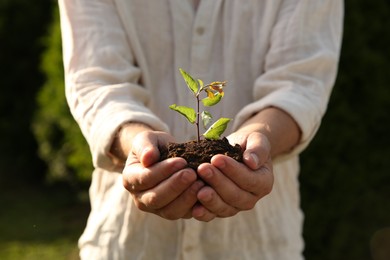 Photo of Man holding seedling with soil outdoors, closeup