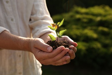 Man holding seedling with soil outdoors, closeup. Space for text