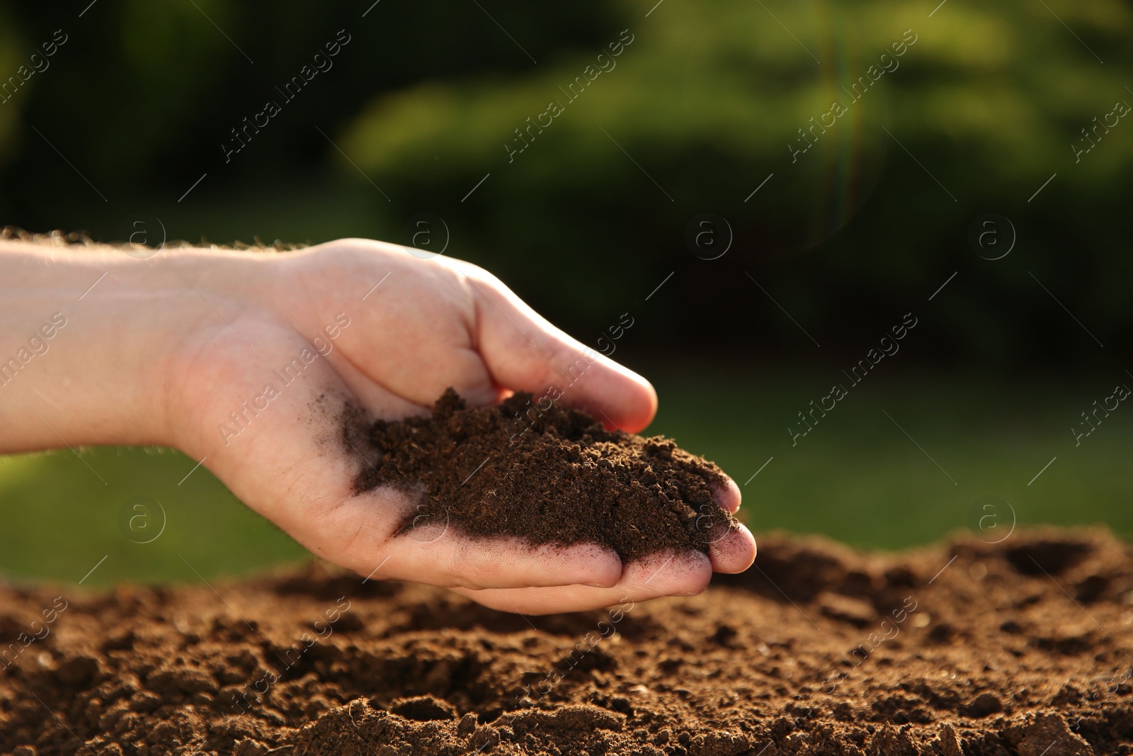 Photo of Man holding pile of soil outdoors, closeup. Space for text