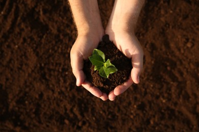 Photo of Man holding seedling with soil outdoors, top view