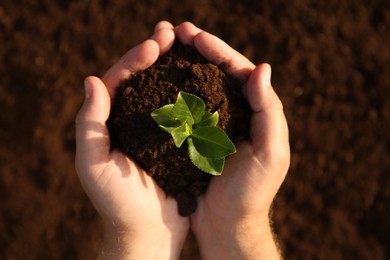 Photo of Man holding seedling with soil outdoors, top view