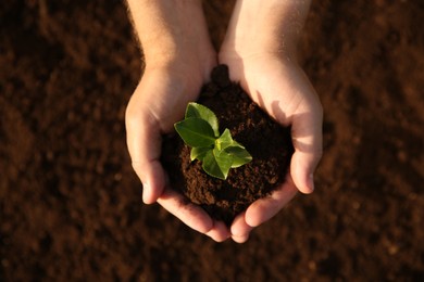 Photo of Man holding seedling with soil outdoors, top view