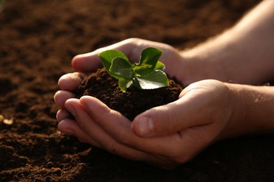 Photo of Man holding seedling with soil outdoors, closeup