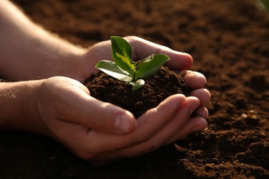 Photo of Man holding seedling with soil outdoors, closeup