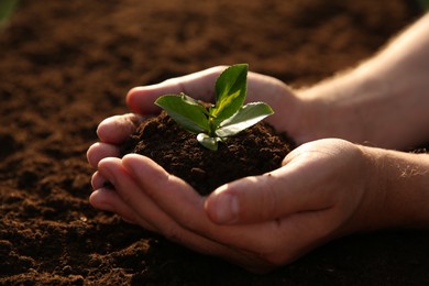 Man holding seedling with soil outdoors, closeup