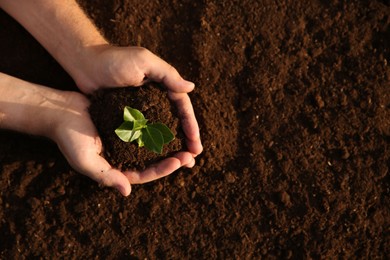 Photo of Man holding seedling with soil outdoors, top view. Space for text