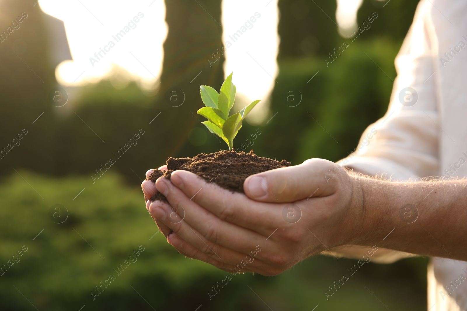 Photo of Man holding seedling with soil outdoors, closeup. Space for text