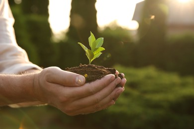 Man holding seedling with soil outdoors, closeup. Space for text