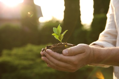 Photo of Man holding seedling with soil outdoors, closeup. Space for text