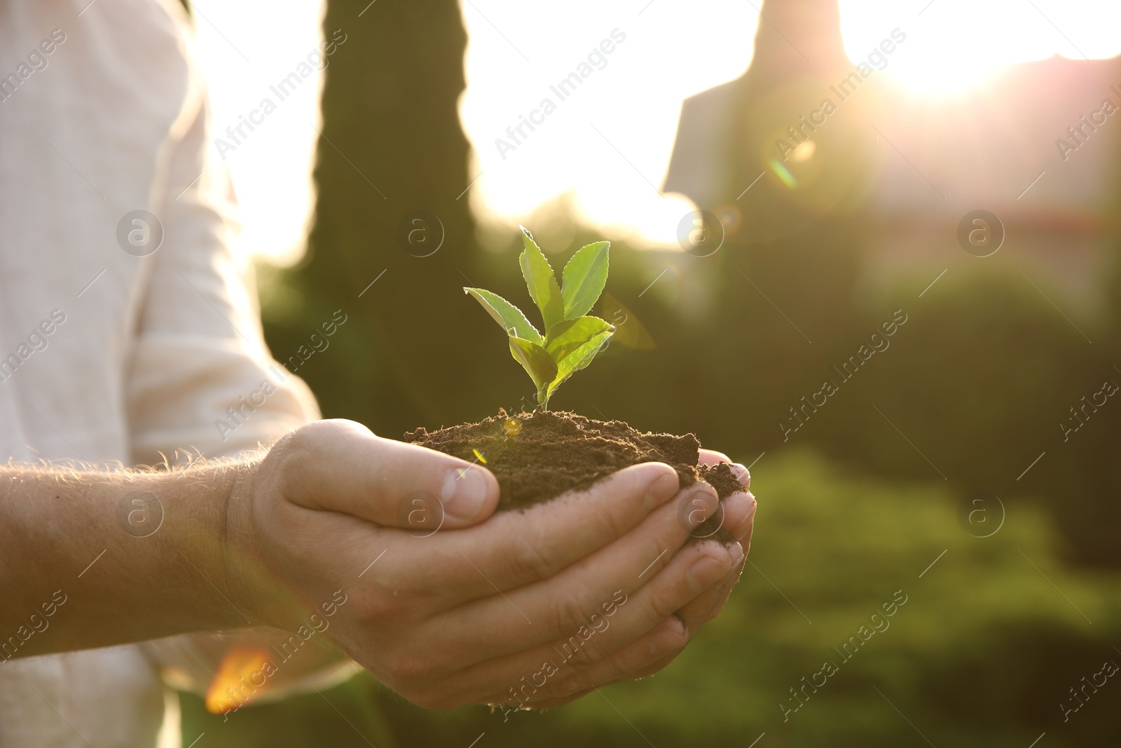 Photo of Man holding seedling with soil outdoors, closeup. Space for text