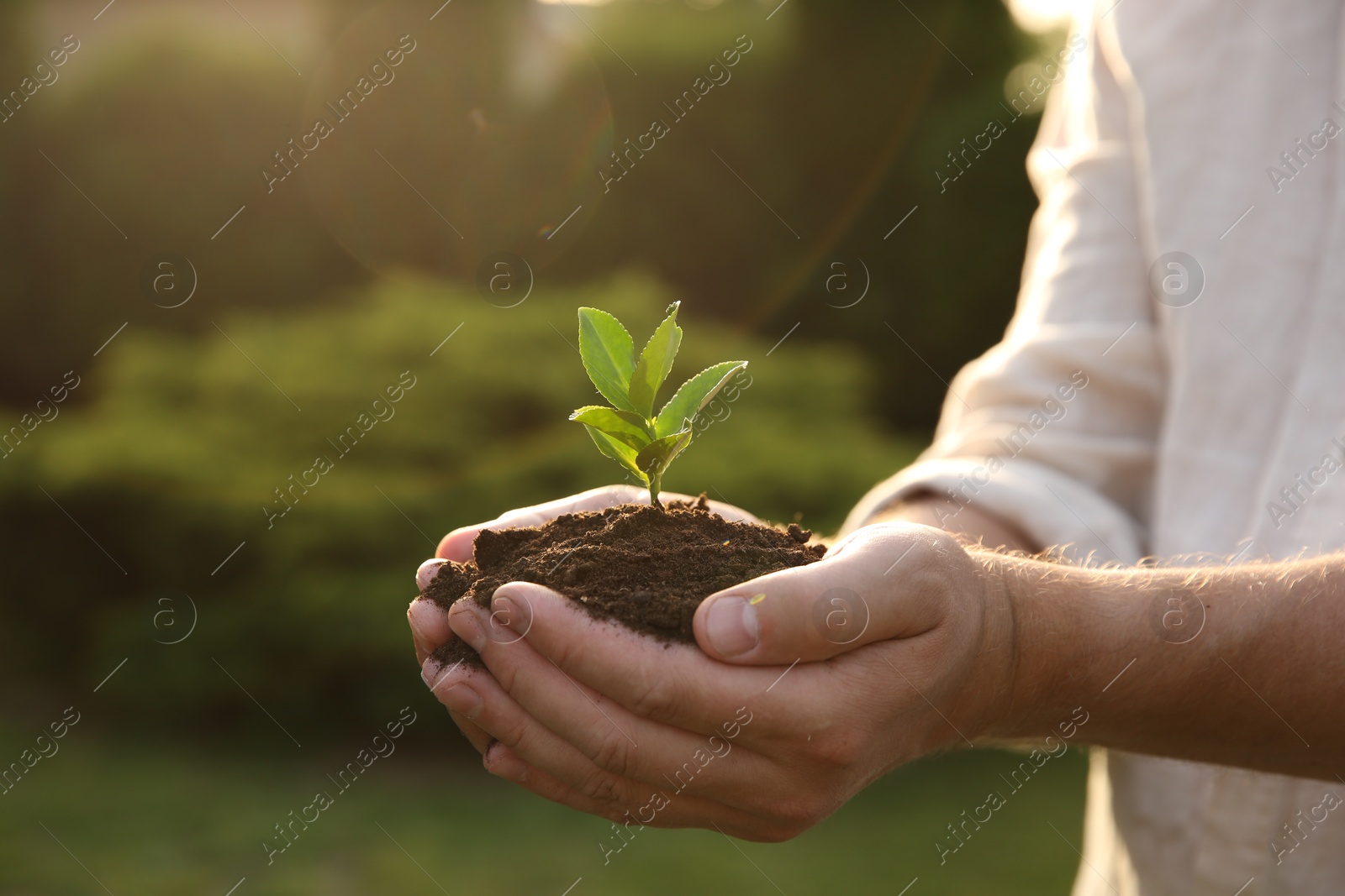 Photo of Man holding seedling with soil outdoors, closeup. Space for text