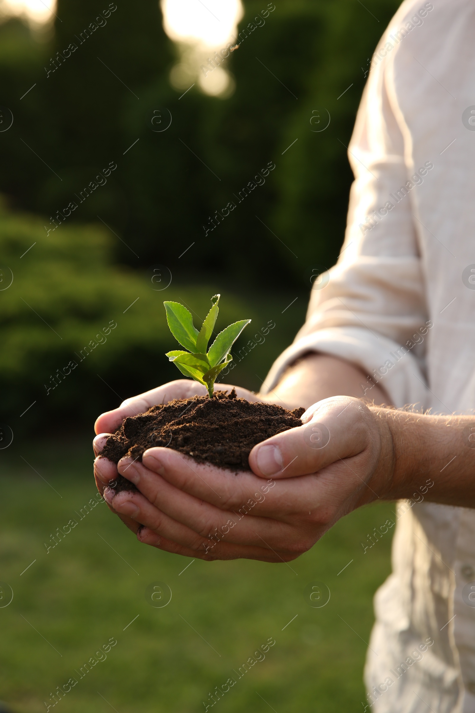 Photo of Man holding seedling with soil outdoors, closeup