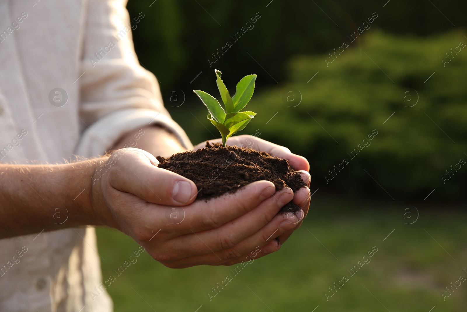 Photo of Man holding seedling with soil outdoors, closeup. Space for text