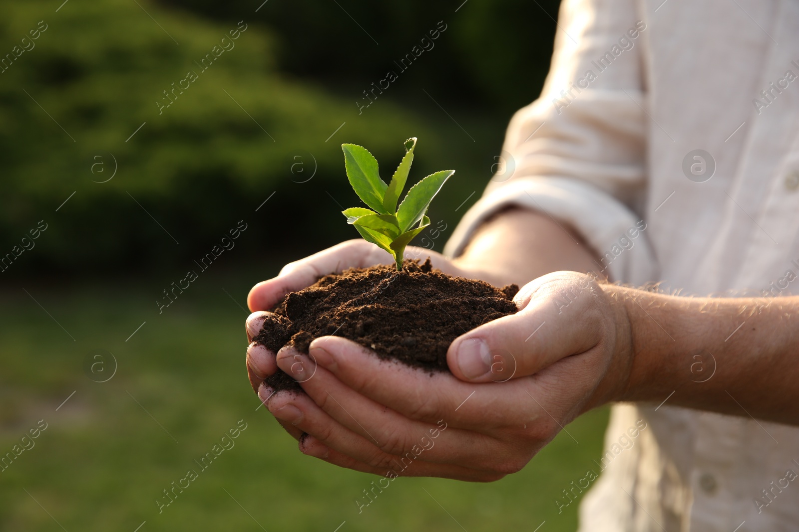 Photo of Man holding seedling with soil outdoors, closeup. Space for text