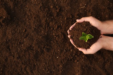 Photo of Man holding seedling with soil outdoors, top view. Space for text