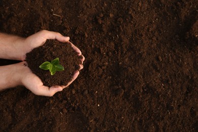 Photo of Man holding seedling with soil outdoors, top view. Space for text