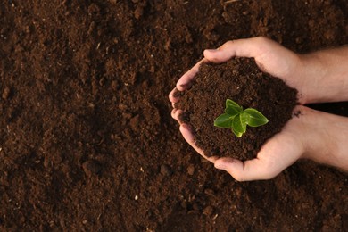 Photo of Man holding seedling with soil outdoors, top view. Space for text