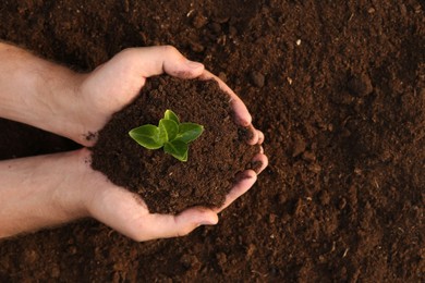 Man holding seedling with soil outdoors, top view. Space for text