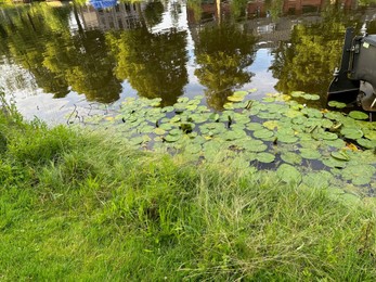 Picturesque view of canal with water lilies outdoors