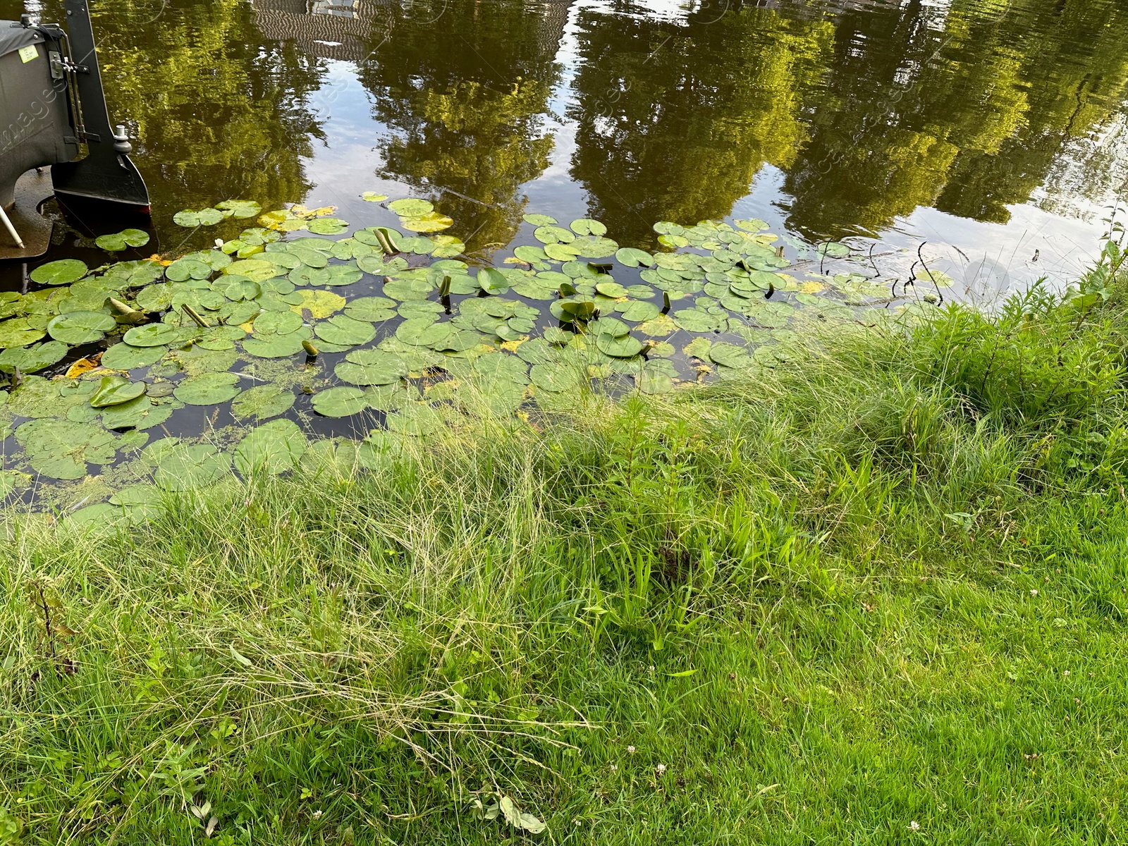 Photo of Picturesque view of canal with water lilies outdoors