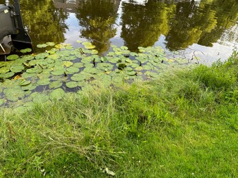 Photo of Picturesque view of canal with water lilies outdoors