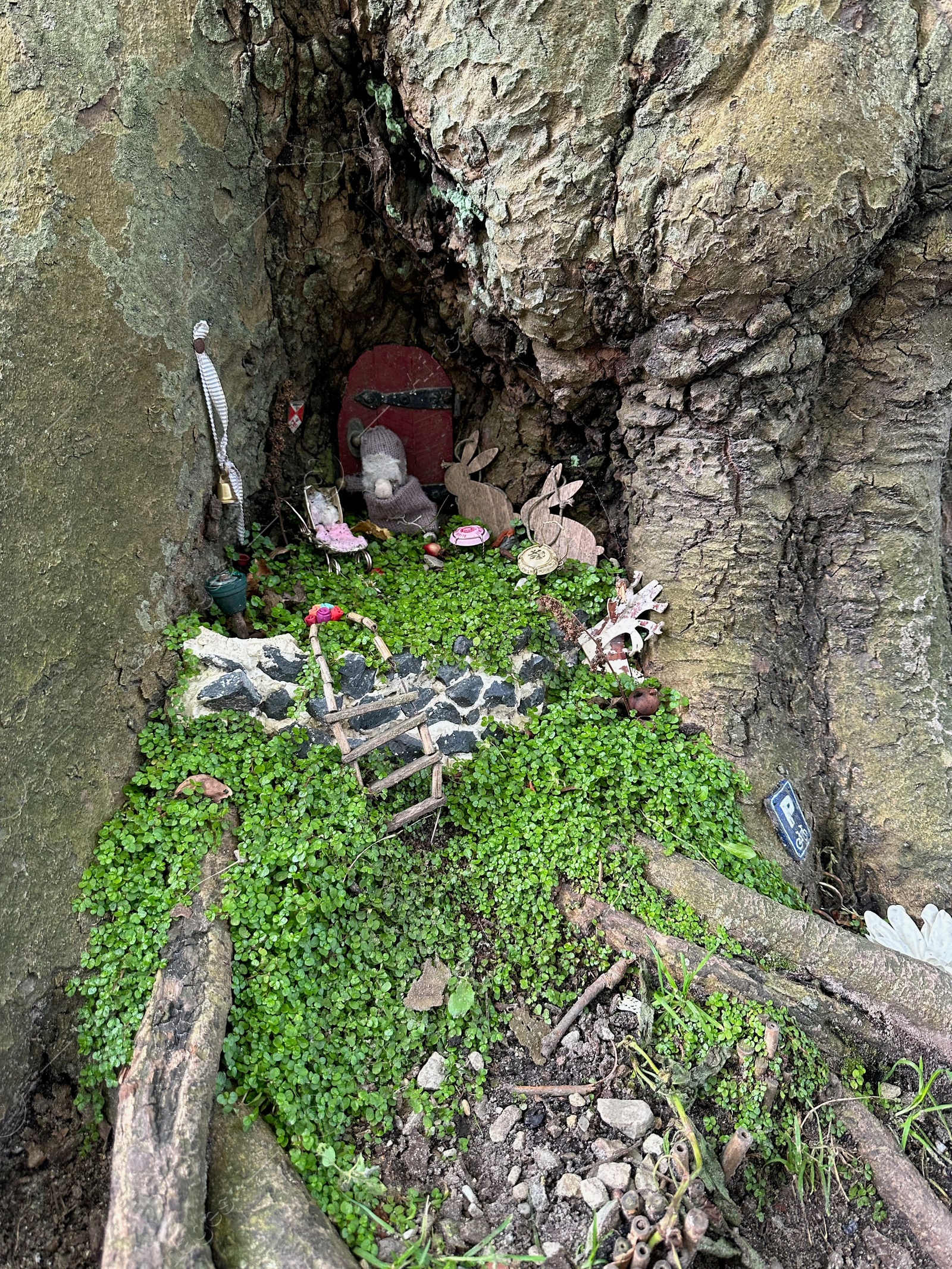 Photo of Beautiful gnome`s house under tree outdoors. Dutch tradition