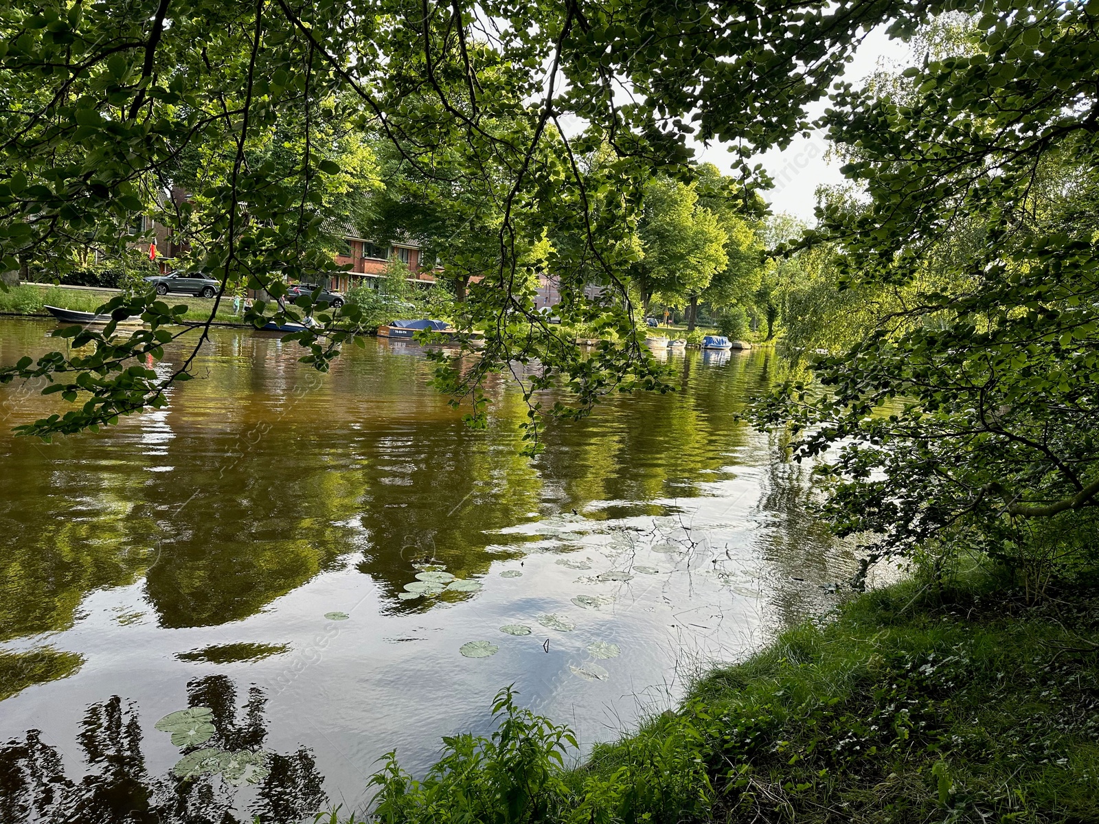 Photo of Picturesque view of canal and trees outdoors