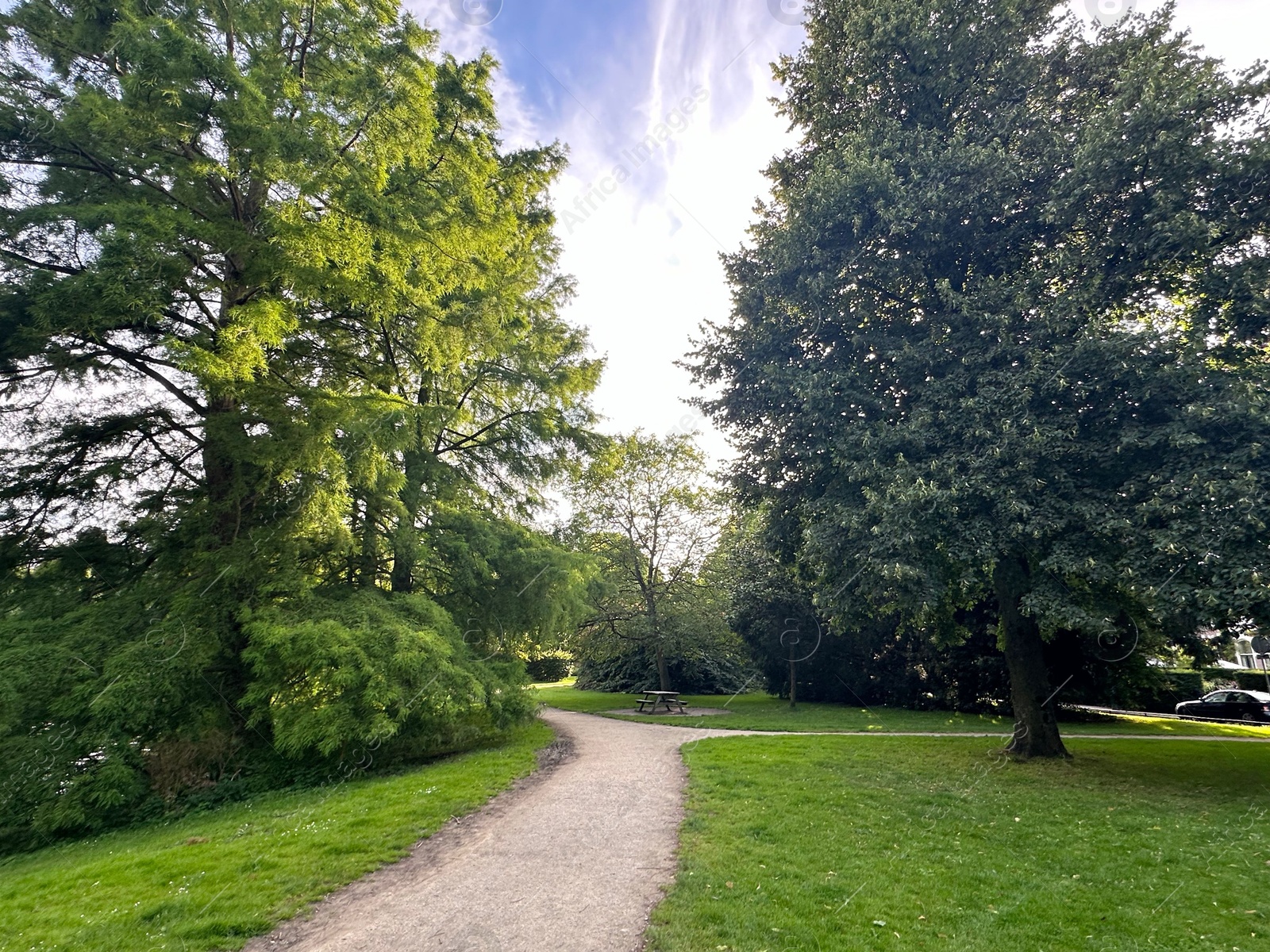 Photo of Beautiful view of park with pathway and trees outdoors