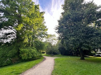 Beautiful view of park with pathway and trees outdoors