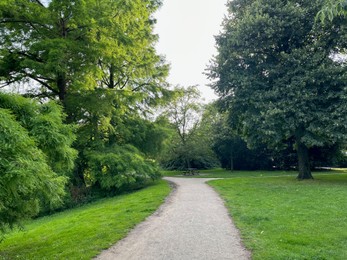 Photo of Beautiful view of park with pathway and trees outdoors