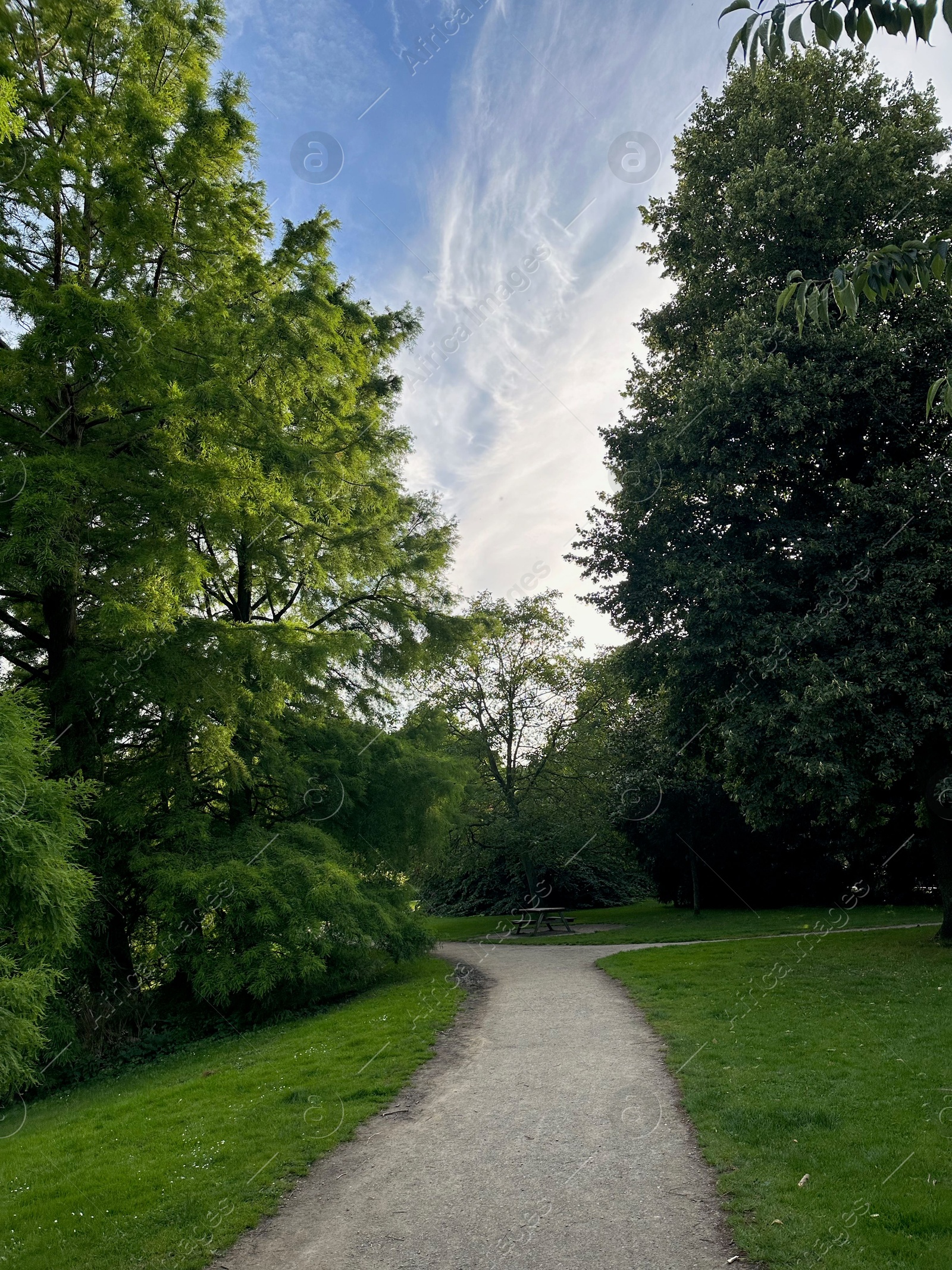 Photo of Beautiful view of park with pathway and trees outdoors