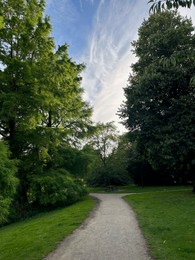 Beautiful view of park with pathway and trees outdoors