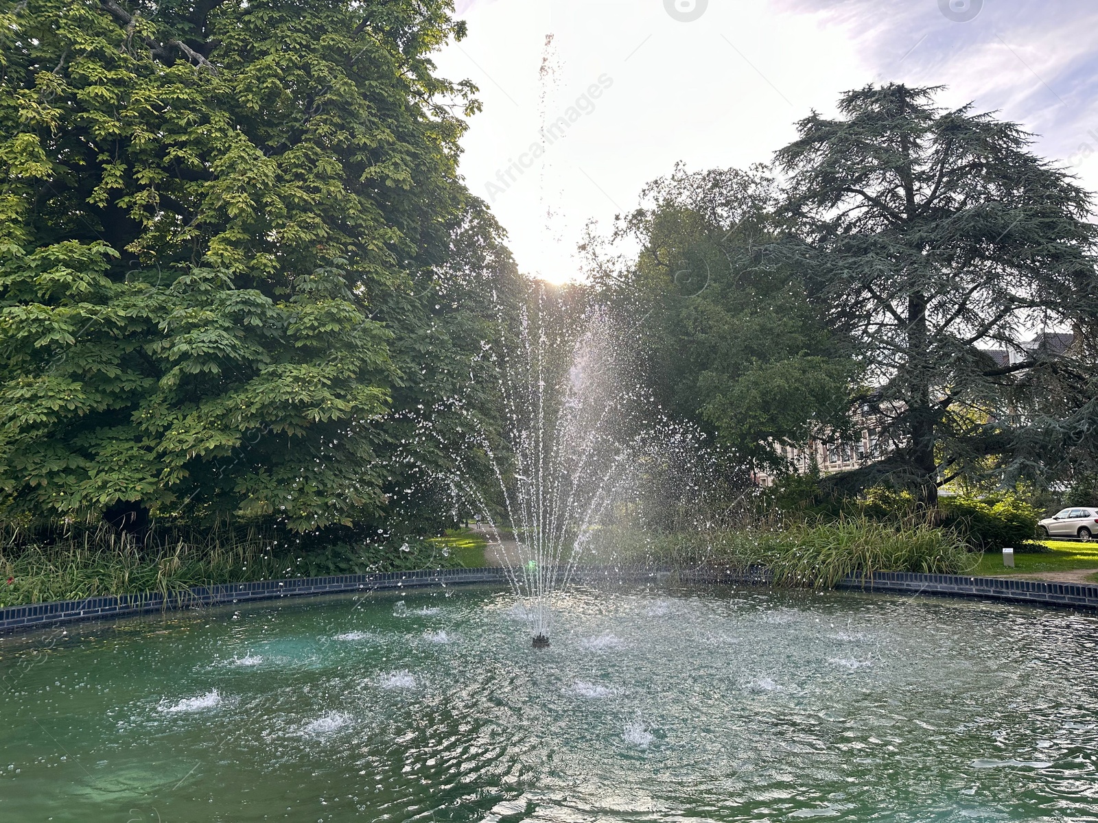 Photo of Beautiful view of fountain and trees in park