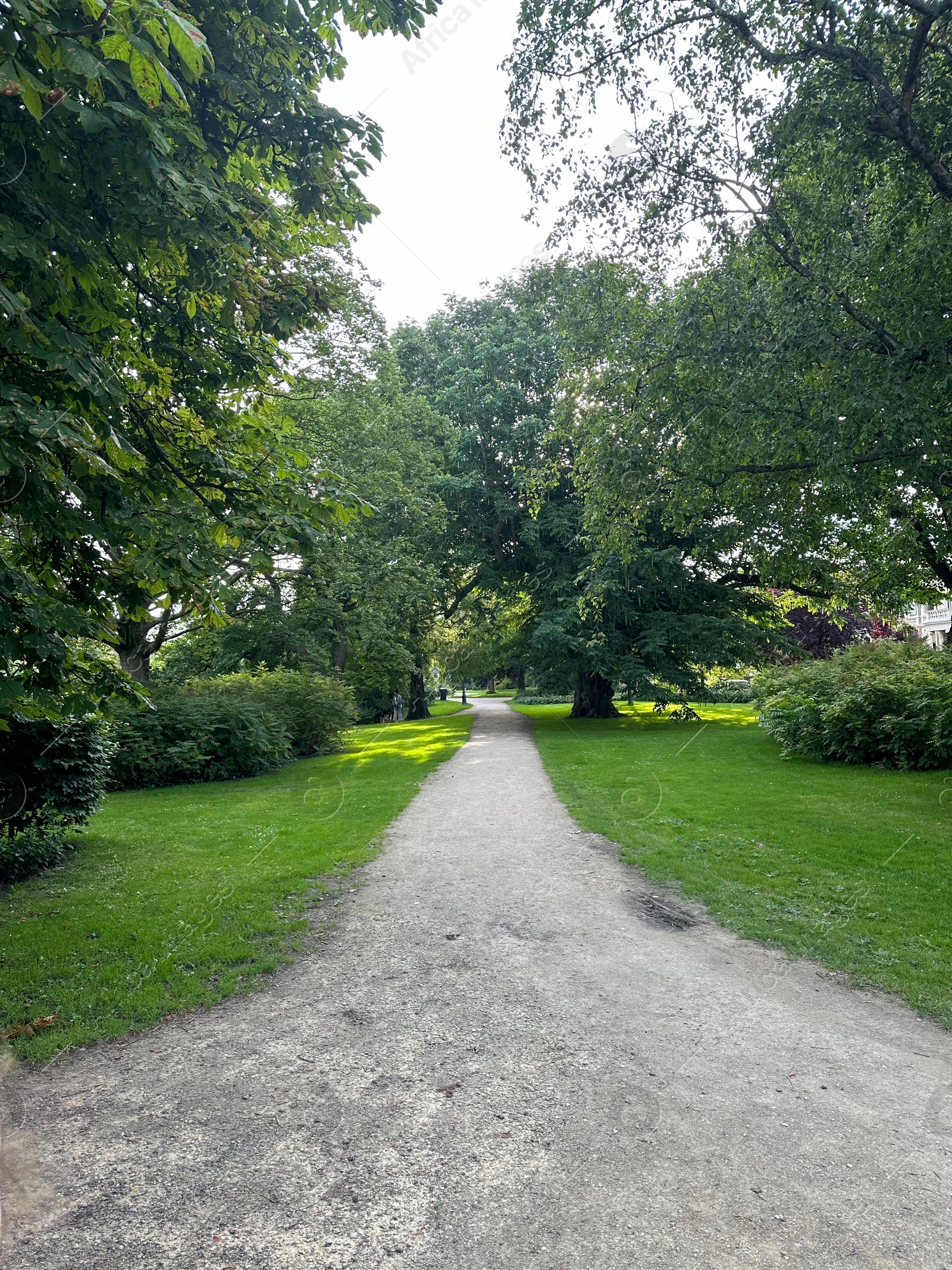 Photo of Beautiful view of park with pathway and trees outdoors