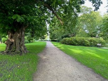 Beautiful view of park with pathway and trees outdoors