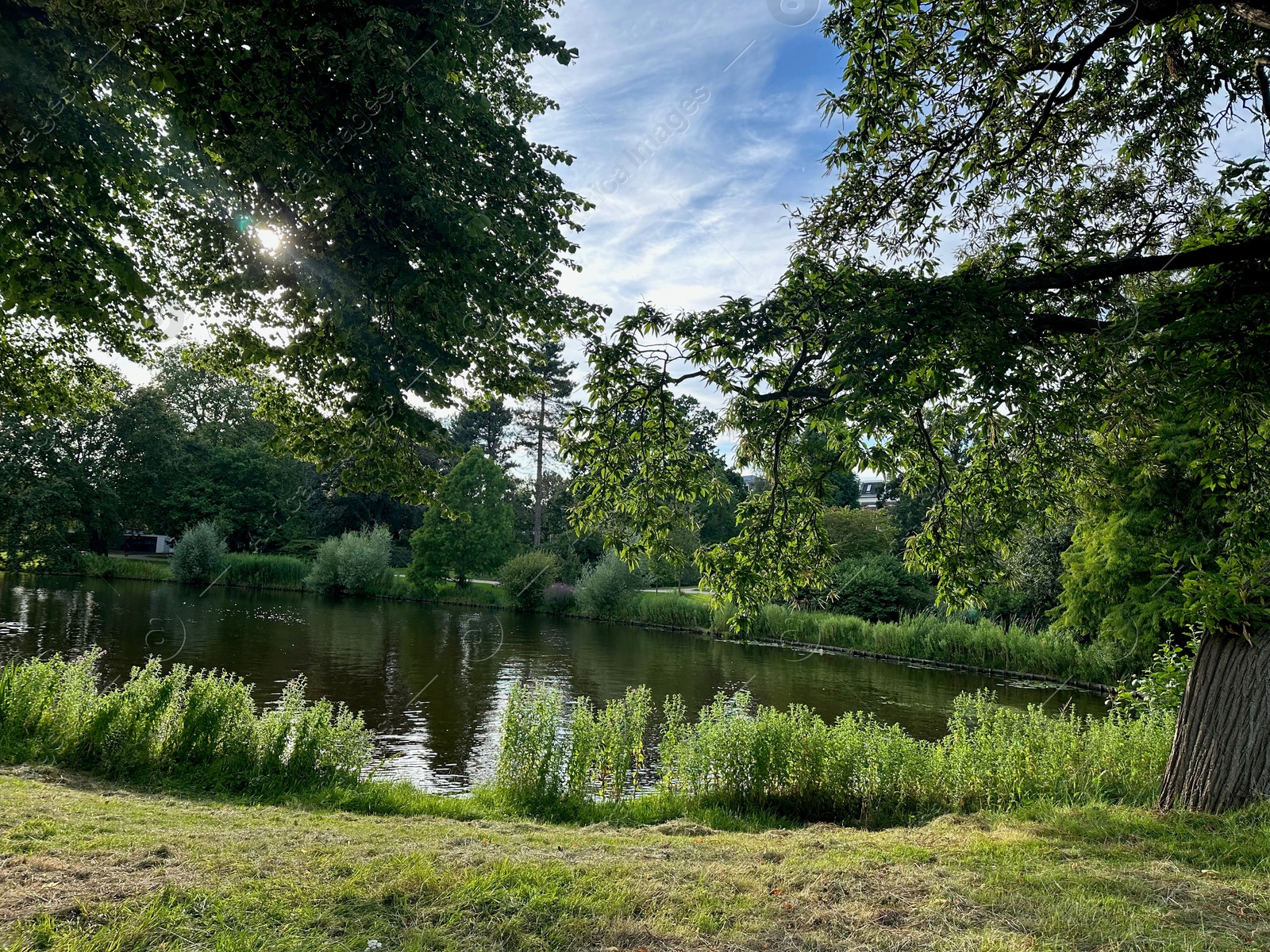 Photo of Picturesque view of canal and trees outdoors