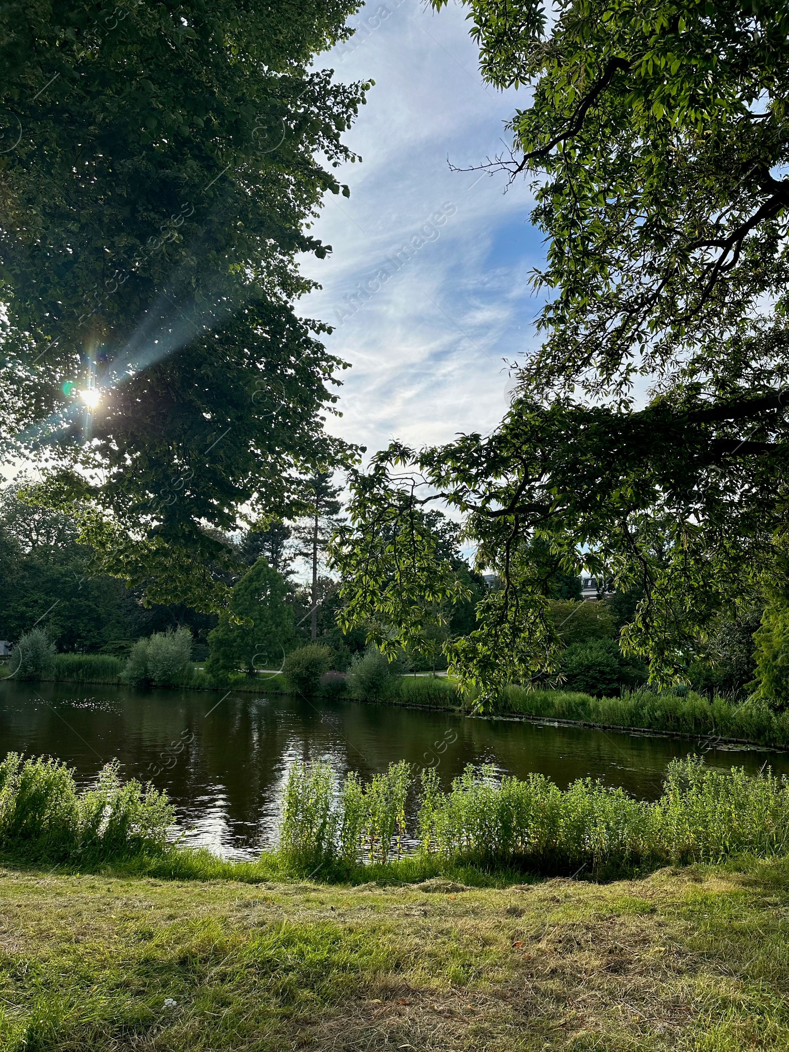 Photo of Picturesque view of canal and trees outdoors