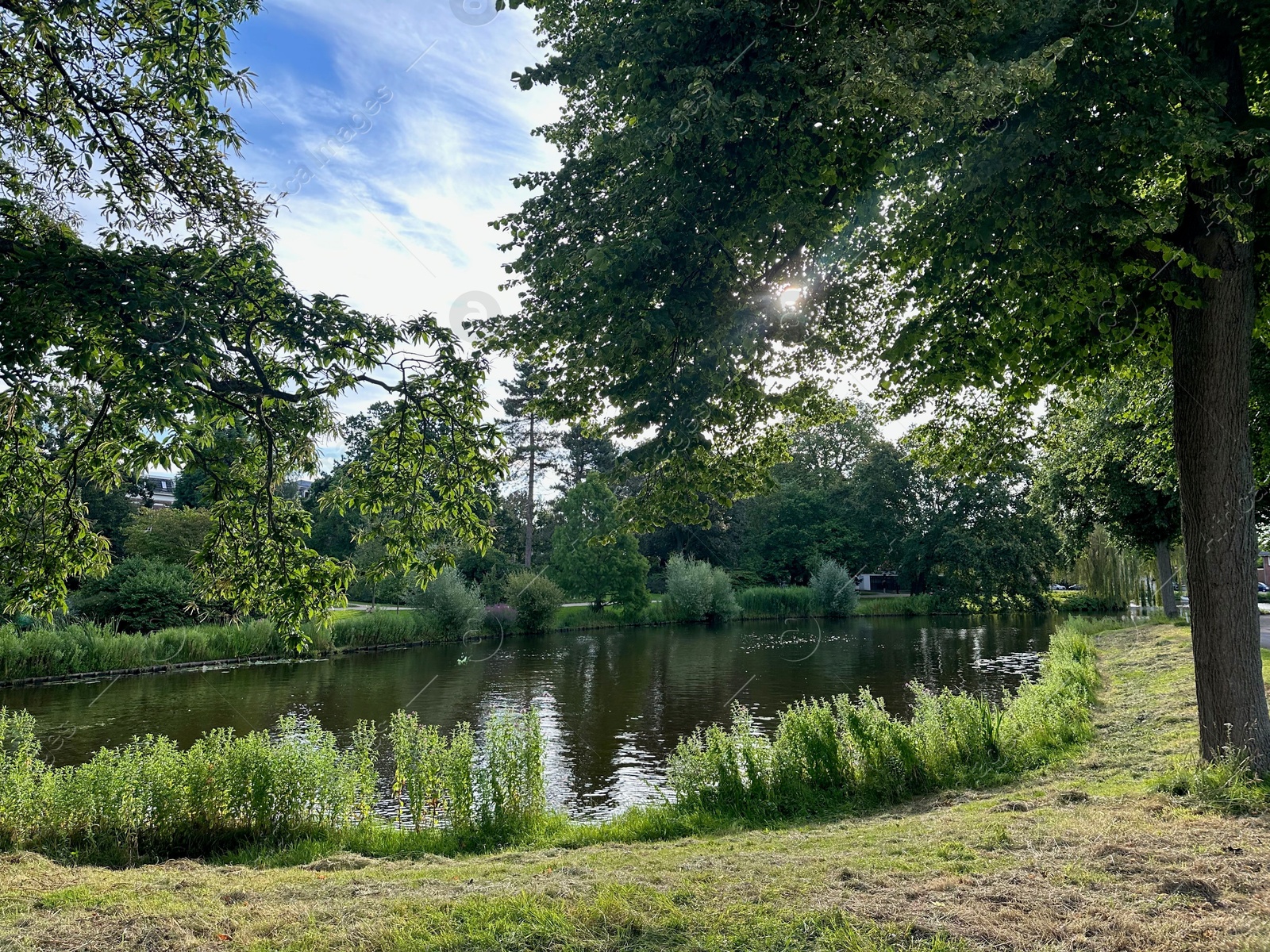 Photo of Picturesque view of canal and trees outdoors