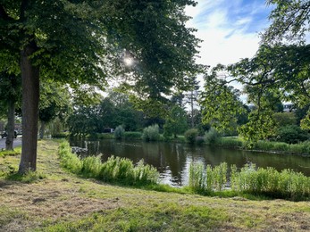 Photo of Picturesque view of canal and trees outdoors