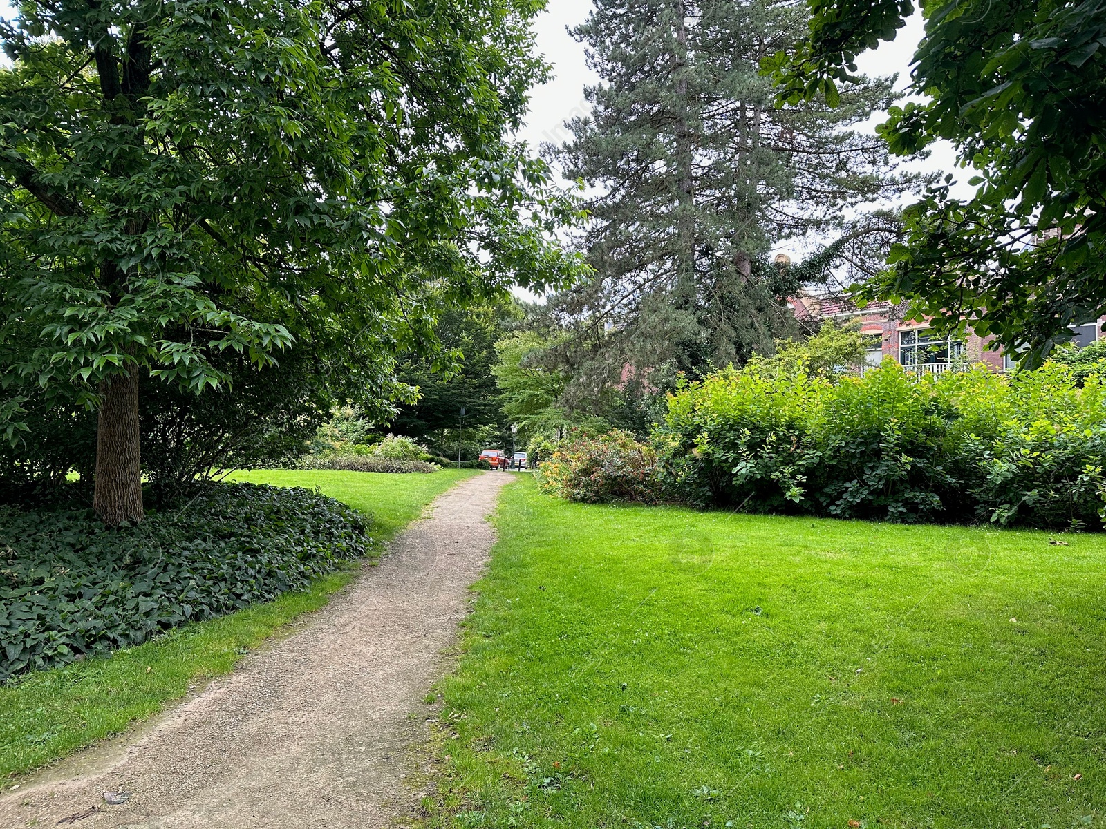 Photo of Picturesque view of pathway among trees outdoors