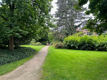 Photo of Picturesque view of pathway among trees outdoors