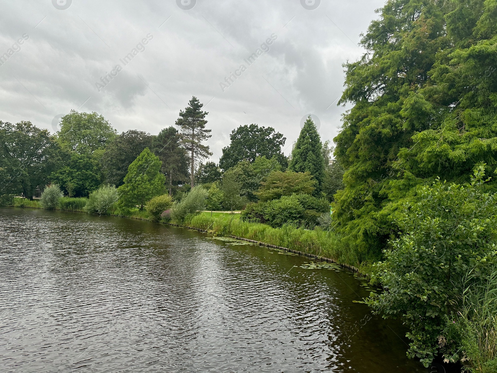 Photo of Picturesque view of canal among trees outdoors