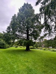 Photo of Picturesque view of park with beautiful trees