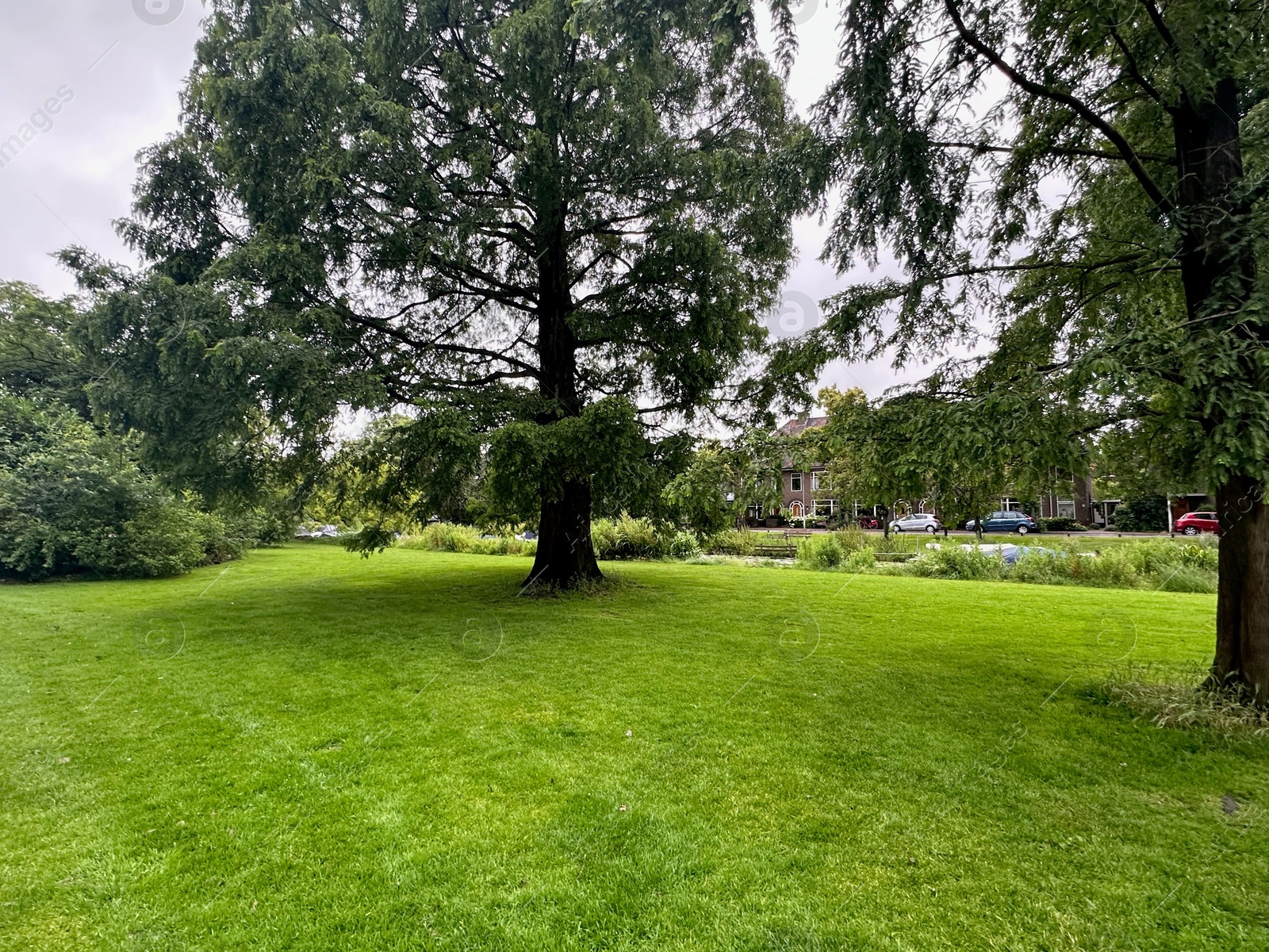 Photo of Picturesque view of park with beautiful trees