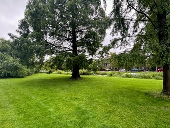 Photo of Picturesque view of park with beautiful trees